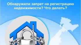 Авто в запрете: что делать в Нью Йоркер