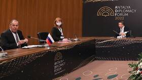 Договоры между Украиной и Россией: правовой статус в Нью Йоркер