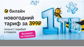 Как купить дополнительные гигабайты на Билайне в Нью Йоркер