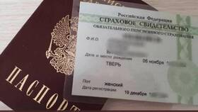 Как найти СНИЛС человека по паспортным данным в Нью Йоркер