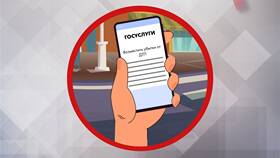 Как оформить ДТП через Госуслуги Авто в Нью Йоркер