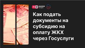 Как оформить гражданство ребенку через Госуслуги в Нью Йоркер