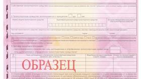 Как оплатить страховой полис на автомобиль онлайн в Нью Йоркер