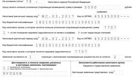 Как отразить возврат НДФЛ в документах в Нью Йоркер