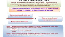 Как подать заявление по безработице через Госуслуги в Нью Йоркер