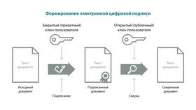 Как подписать документ электронной подписью КриптоПро в Нью Йоркер