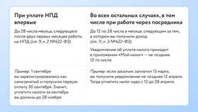 Как правильно оформить самозанятость в Нью Йоркер