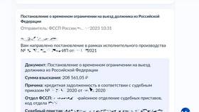 Как проверить запрет на выезд из России через МВД РФ в Нью Йоркер