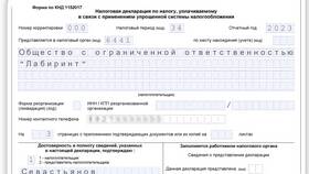 Как сформировать декларацию по УСН для ИП