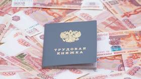 Как скачать выписку из трудовой книжки на Госуслугах в Нью Йоркер