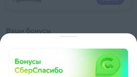 Как списать бонусы СберСпасибо в ЕАптеке в Нью Йоркер