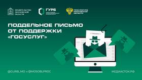 Как связаться со службой поддержки Госуслуг в Нью Йоркер