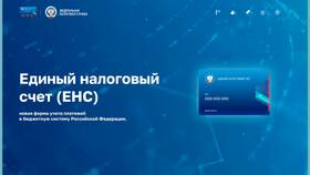 Как уточнить платеж в казначействе в Нью Йоркер