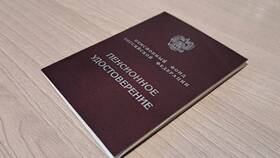 Перспективы отмены пенсионной реформы в России в Нью Йоркер