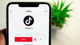Про что вести аккаунт в TikTok в Нью Йоркер