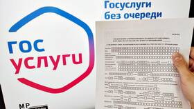 Сроки оформления временной регистрации через Госуслуги в Нью Йоркер
