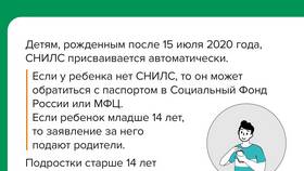 Зачем телефонным мошенникам нужен СНИЛС? в Нью Йоркер