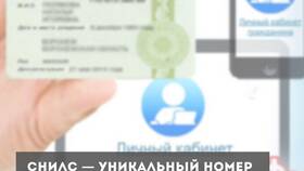 Зачем выдают СНИЛС в Нью Йоркер